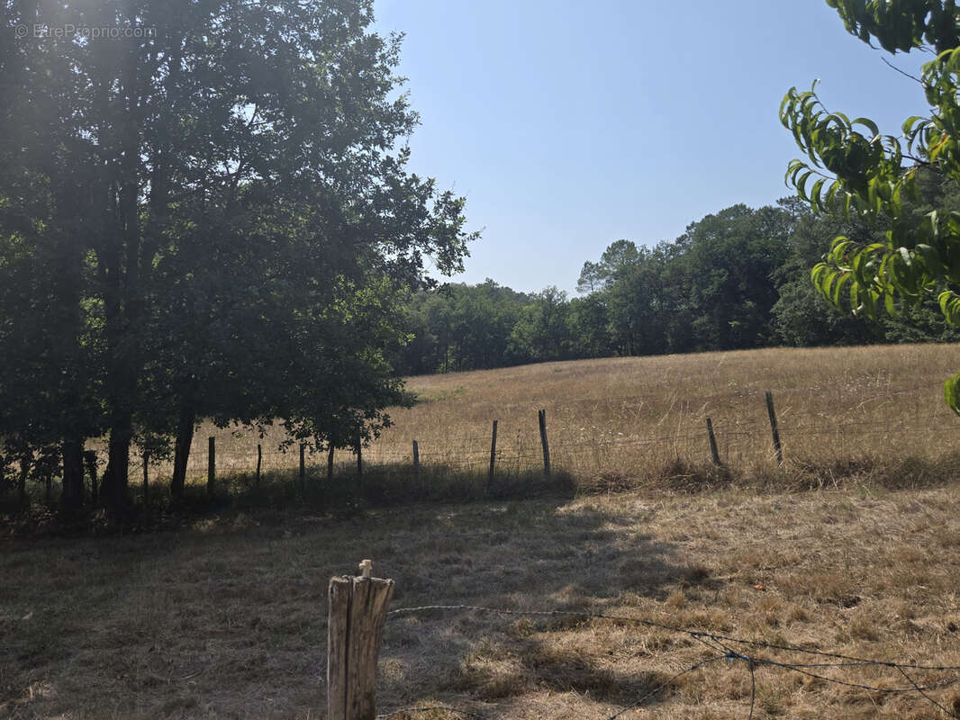 Un véritable havre de paix sur plus de 4 hectares! - photo 28