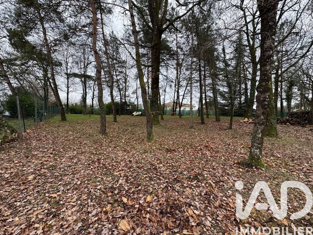 Photo 1 - Terrain à DIRAC