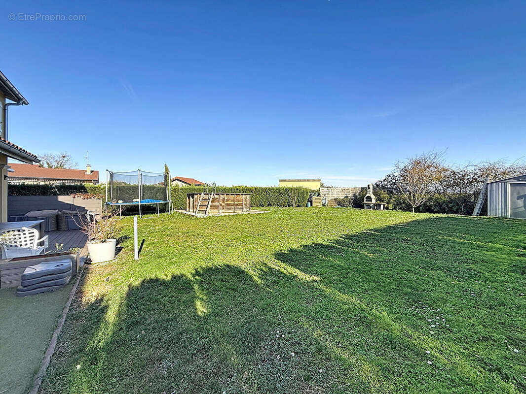 Maison à VILLIEU-LOYES-MOLLON