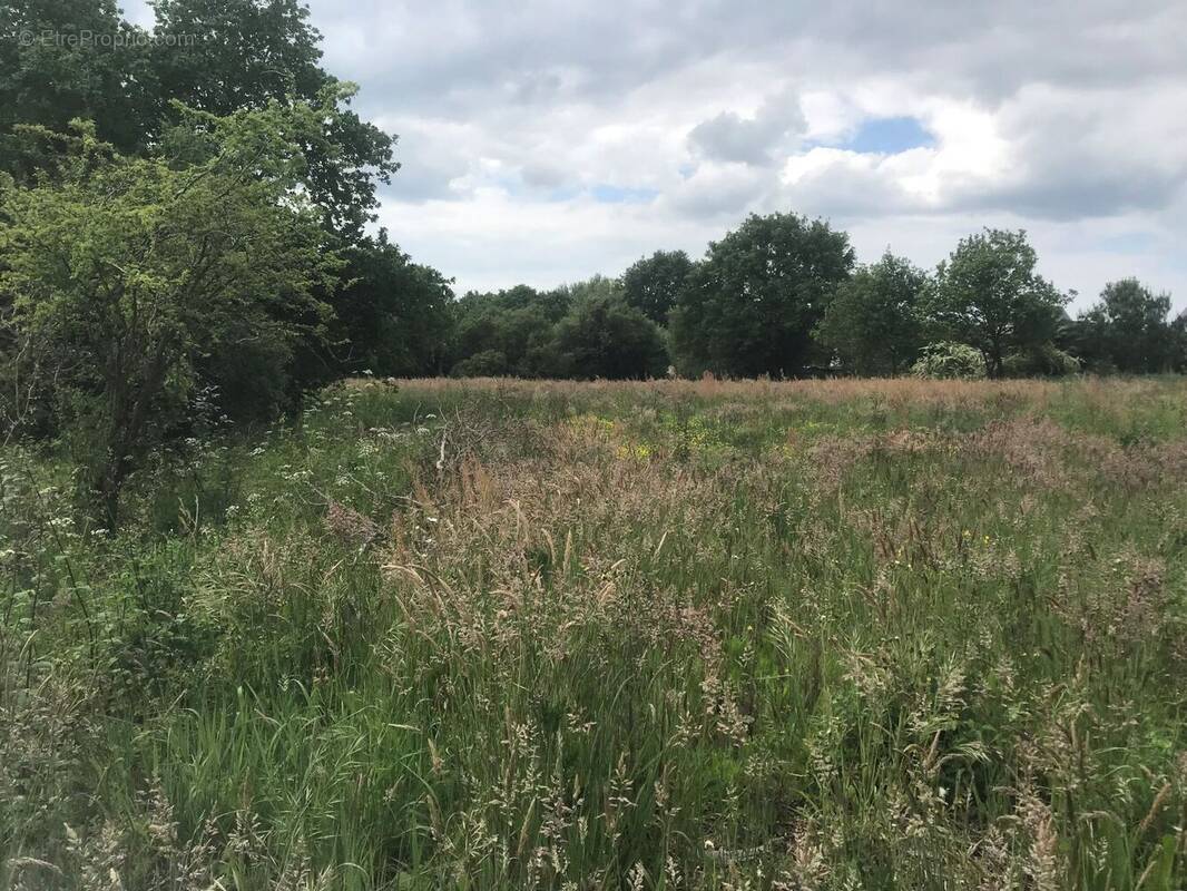 Terrain à LA BAULE-ESCOUBLAC