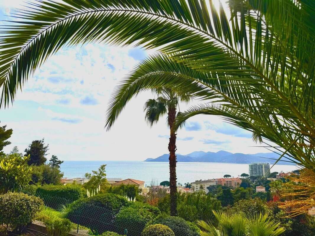 Appartement à CANNES