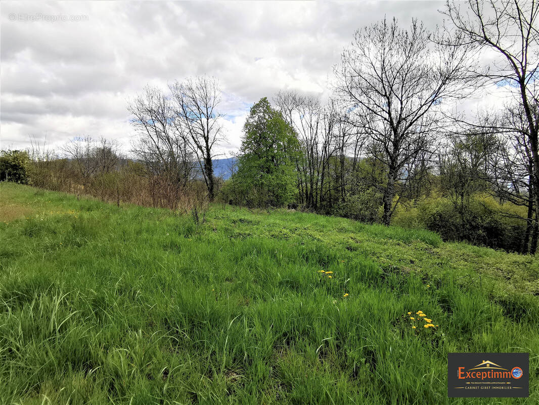 Terrain à BELMONT-LUTHEZIEU