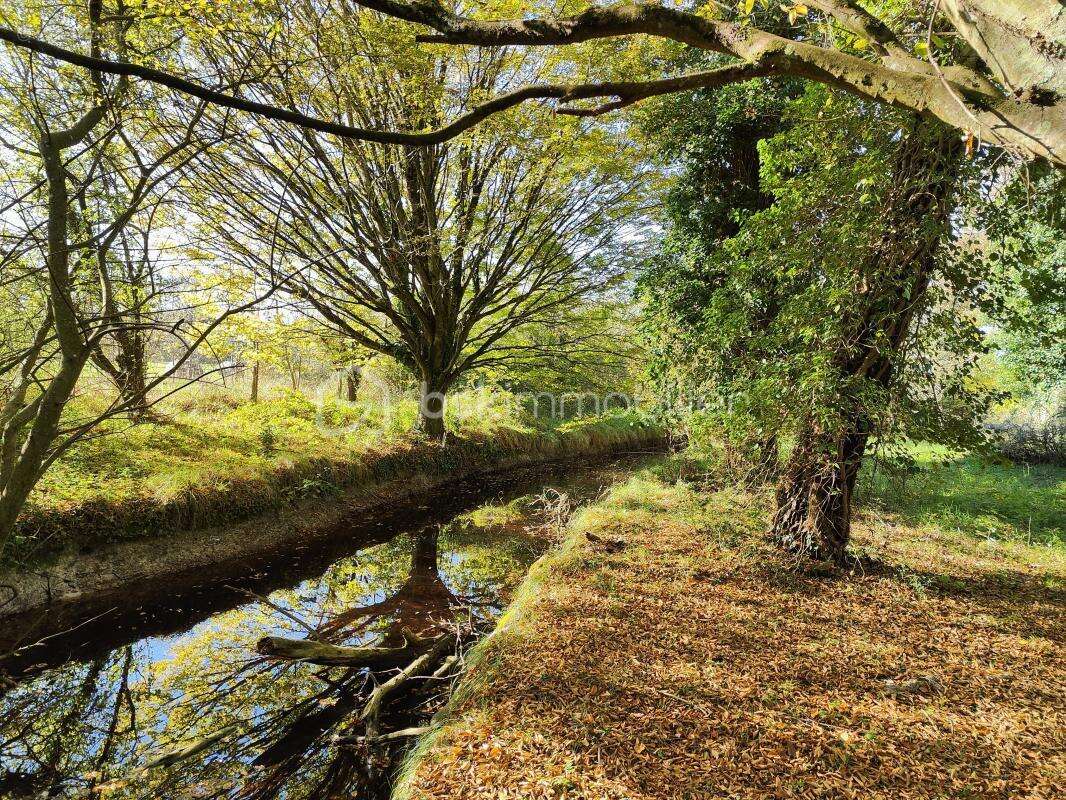 Maison à SAINT-SULPICE-DE-ROYAN