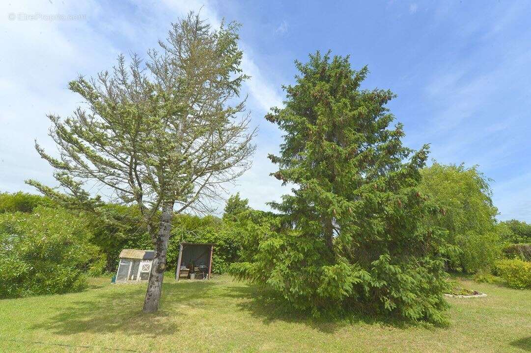 Maison à MESCHERS-SUR-GIRONDE