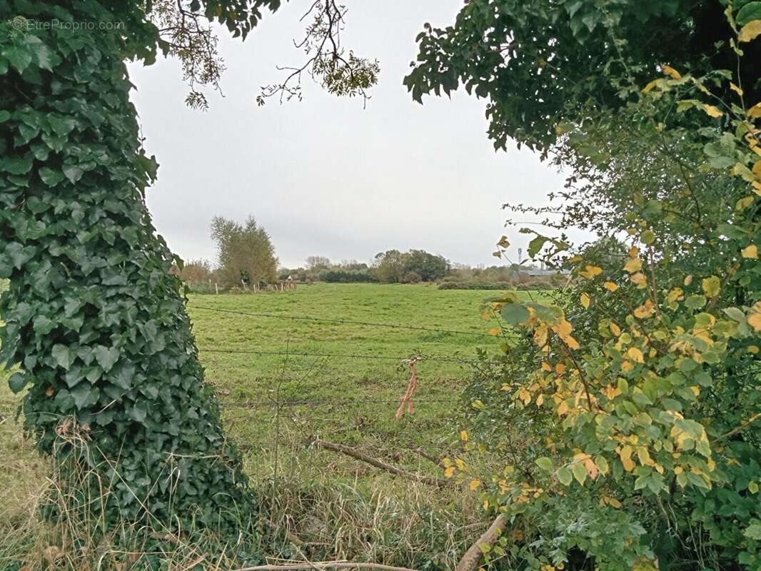 Terrain 2335 m² à Saint-Quentin-En-Tourmont  - photo 6