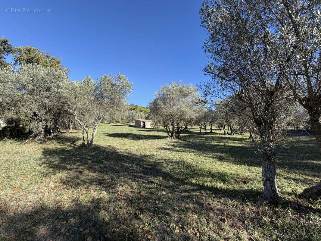 Terrain à MOISSAC-BELLEVUE