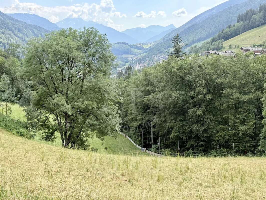 Exceptionnel Terrain de 3067 m2 dont 1102 m2 constructible avec permis accepté - photo 4