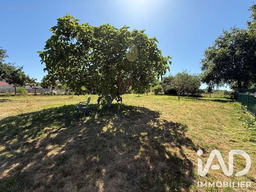 Terrain 738 m² à Camoel  - photo 4