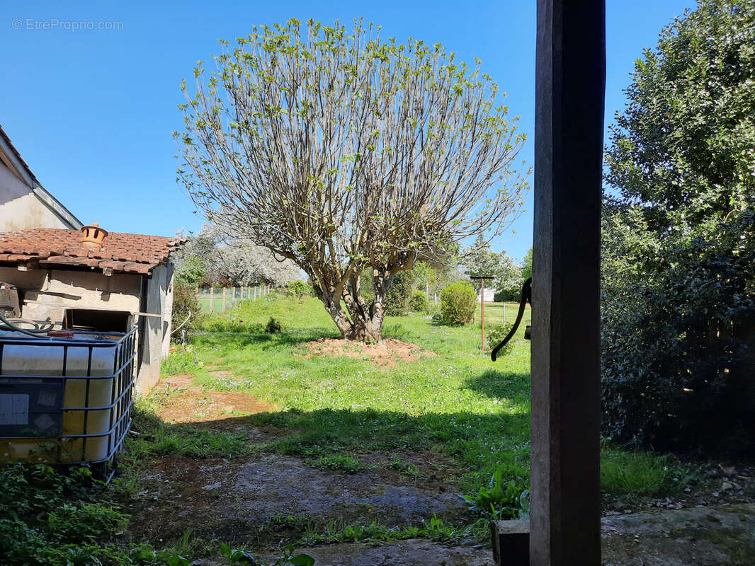 Maison de bourg 193 m2 + dépendance et jardin - photo 13