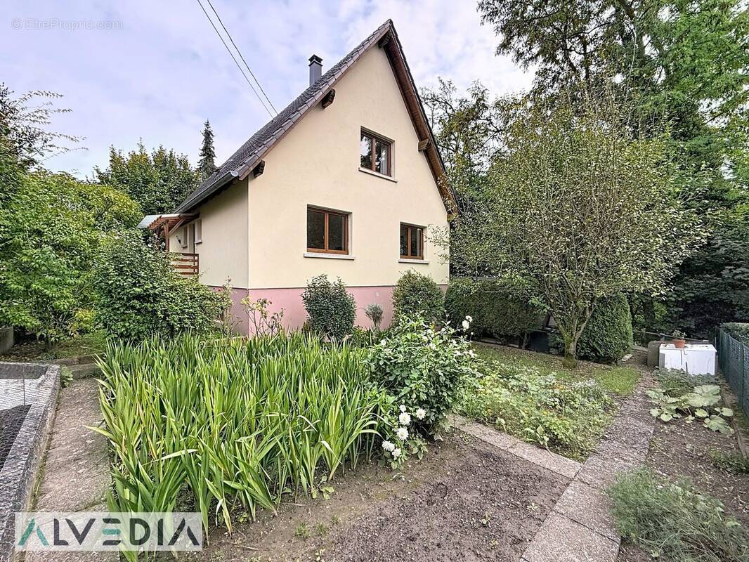 Maison à BISCHWILLER