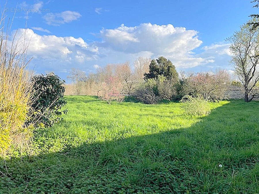 Maison à AIGREFEUILLE-D'AUNIS