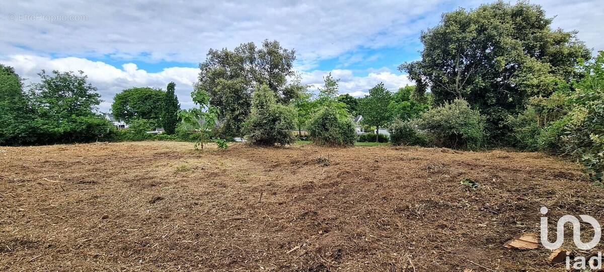 Photo 1 - Terrain à BADEN