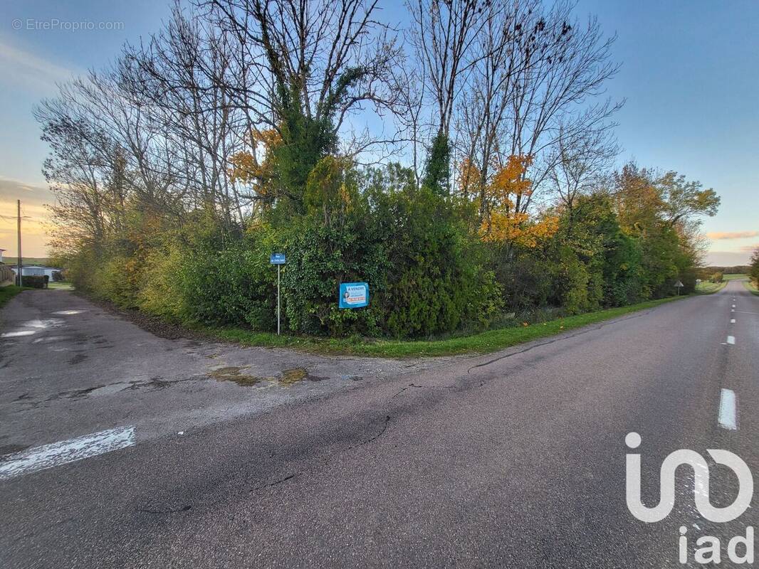 Photo 1 - Terrain à VENDEUVRE-SUR-BARSE