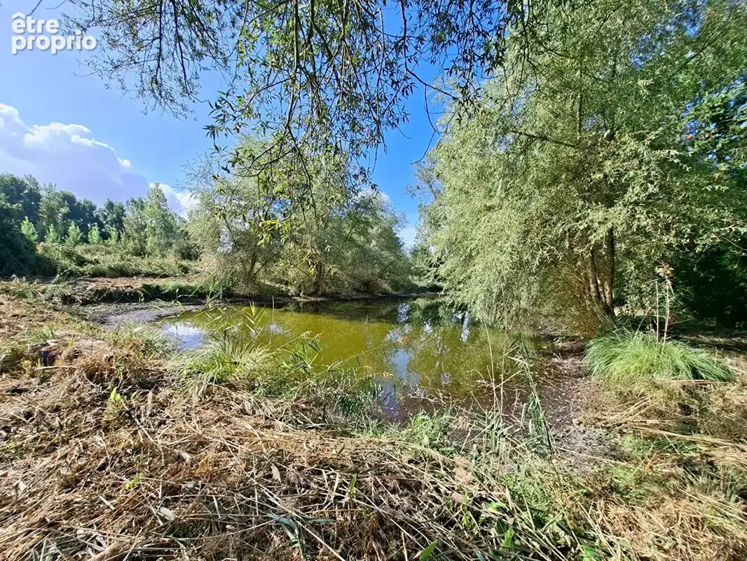 Etang Pierrepont 4872 m2 - photo 2