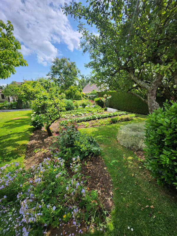 Maison à CREVECOEUR-LE-GRAND
