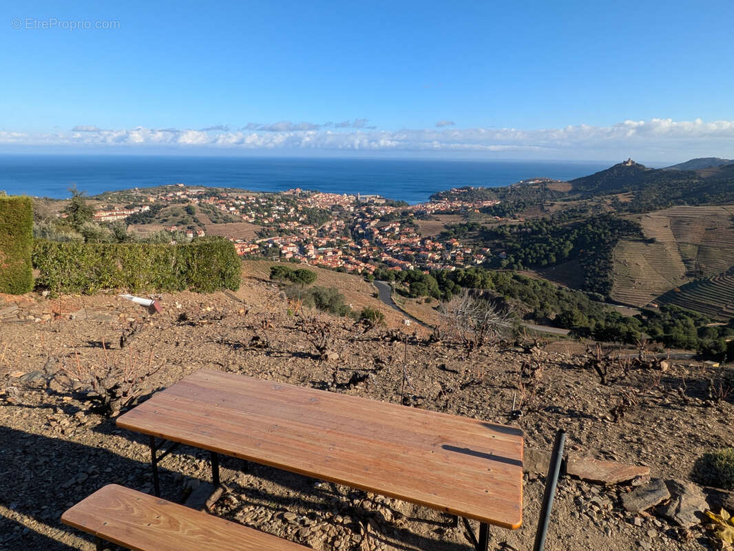 Terrain à COLLIOURE