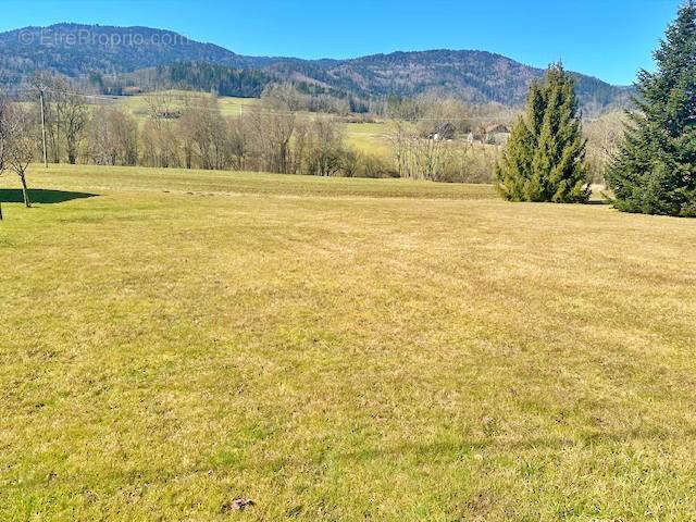 Terrain à SAINT-ANDRE-DE-BOEGE