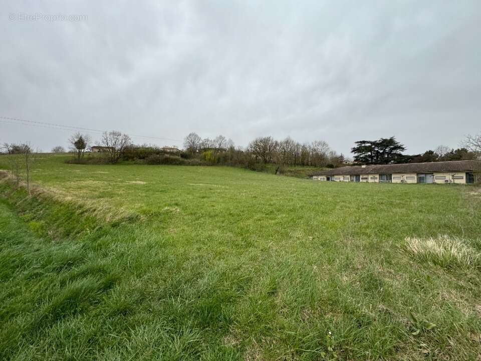 Terrain à AURIAC-SUR-VENDINELLE
