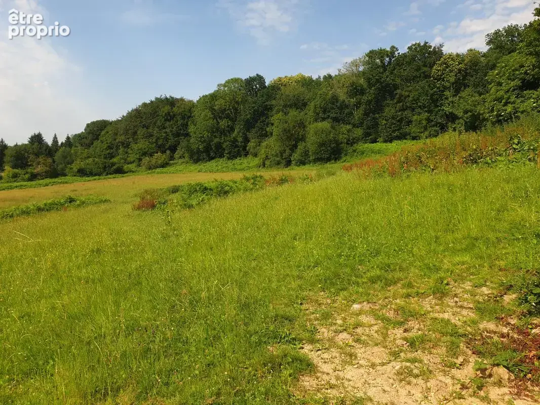 Maison normande de caractère à 10 min de Pont-Audemer - 8 pièces, 5 chambres, 3,5 ha de nature - photo 6