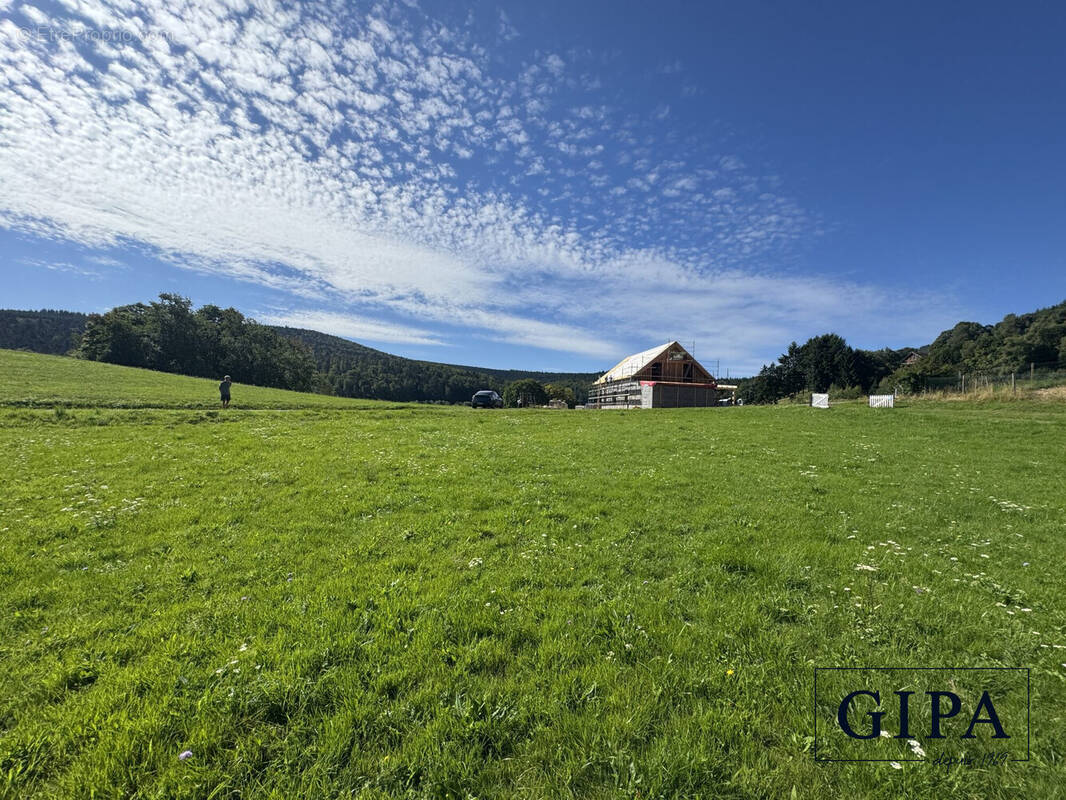 Terrain à LE HOHWALD