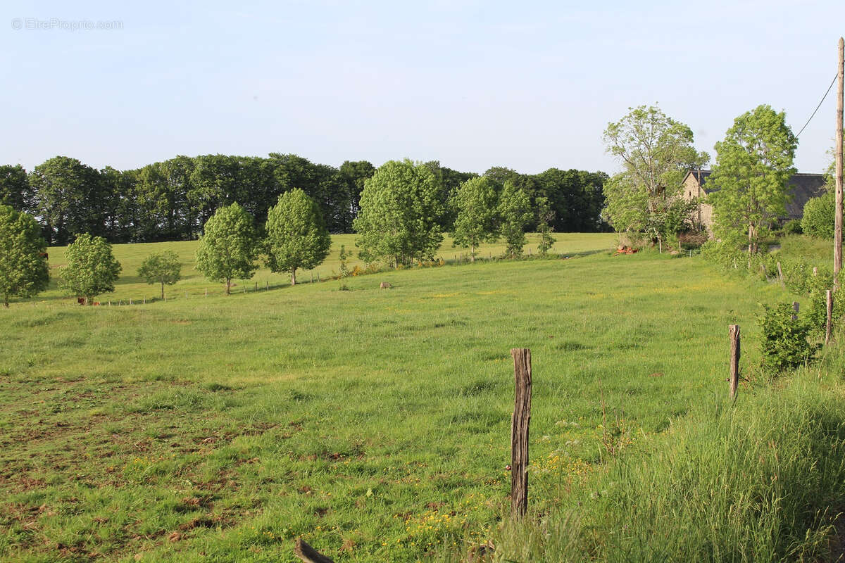 Maison à ANGLARDS-DE-SALERS