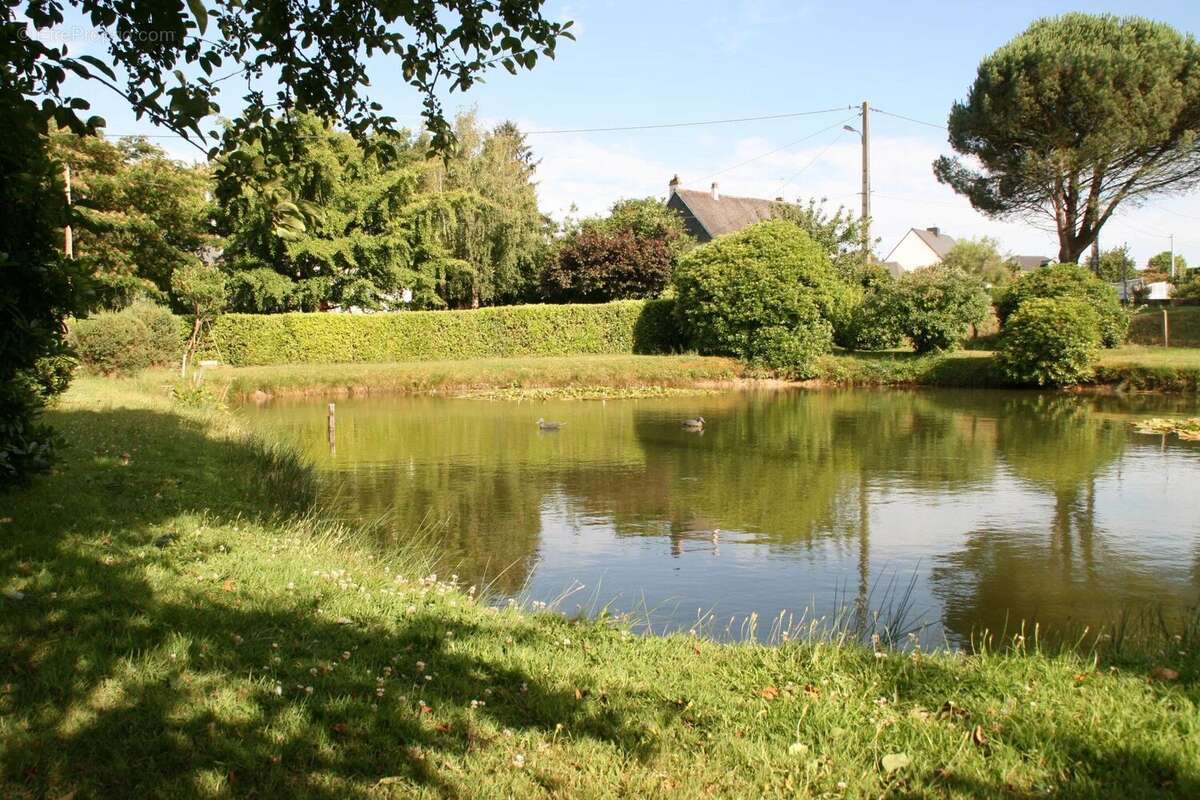 Vente Terrain Guegon(56120) 40 000ï¿œ - photo 4