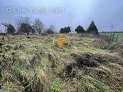 Terrain à SERVAIS