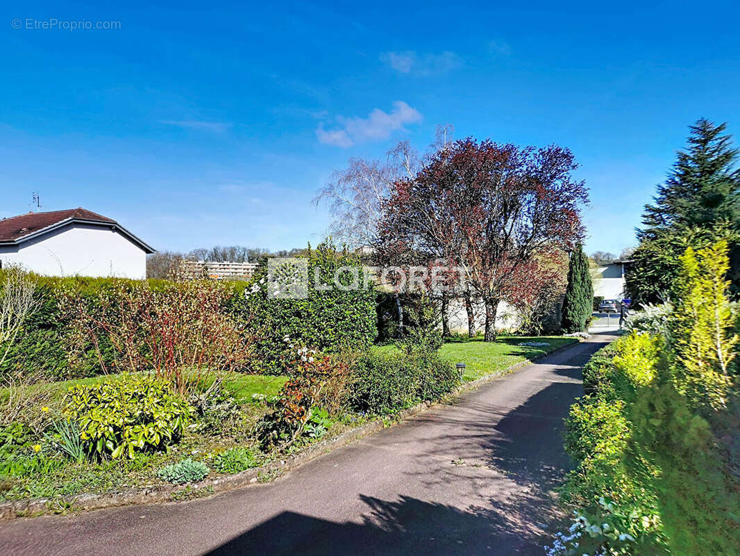 Terrain à NEUVILLE-SUR-SAONE
