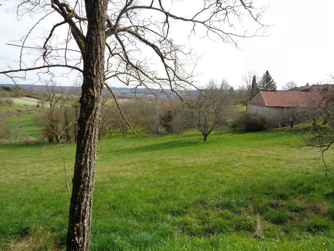 Terrain à MONTAGRIER