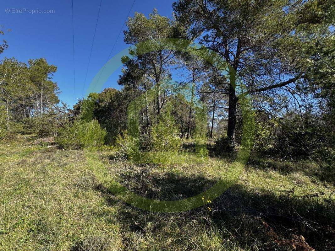 Terrain à SAINT-PAUL-EN-FORET