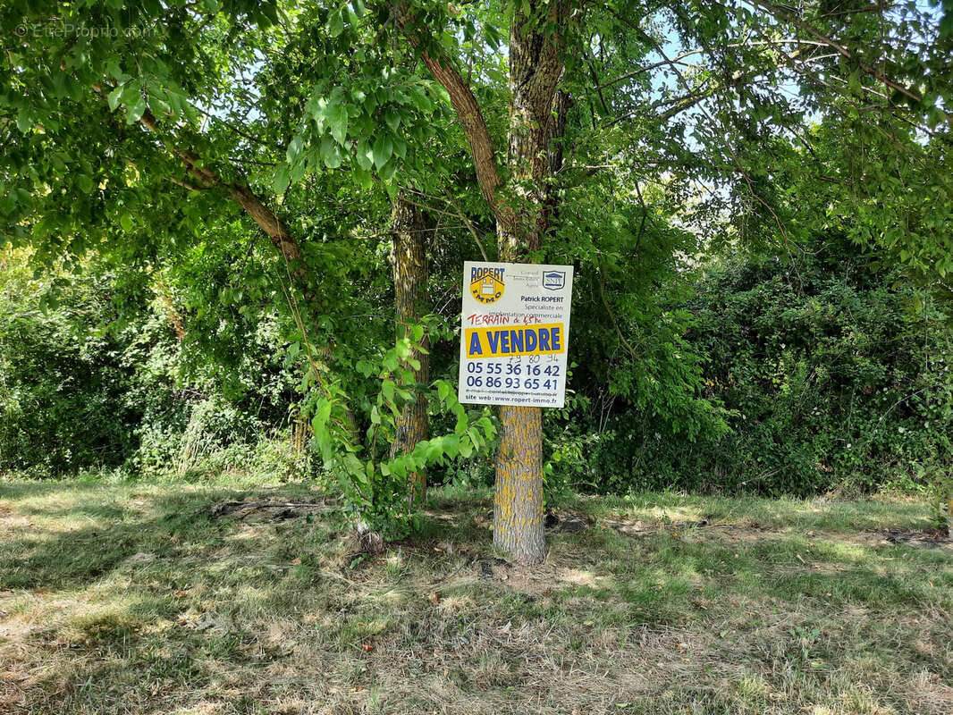 Autre à PEYRAT-DE-BELLAC