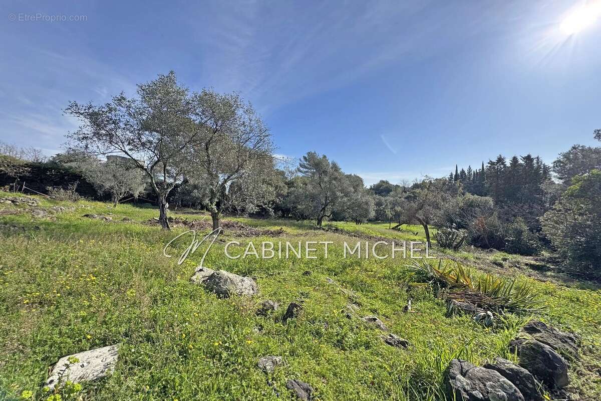 Terrain 3240 m² à Roquefort-Les-Pins  - photo 2