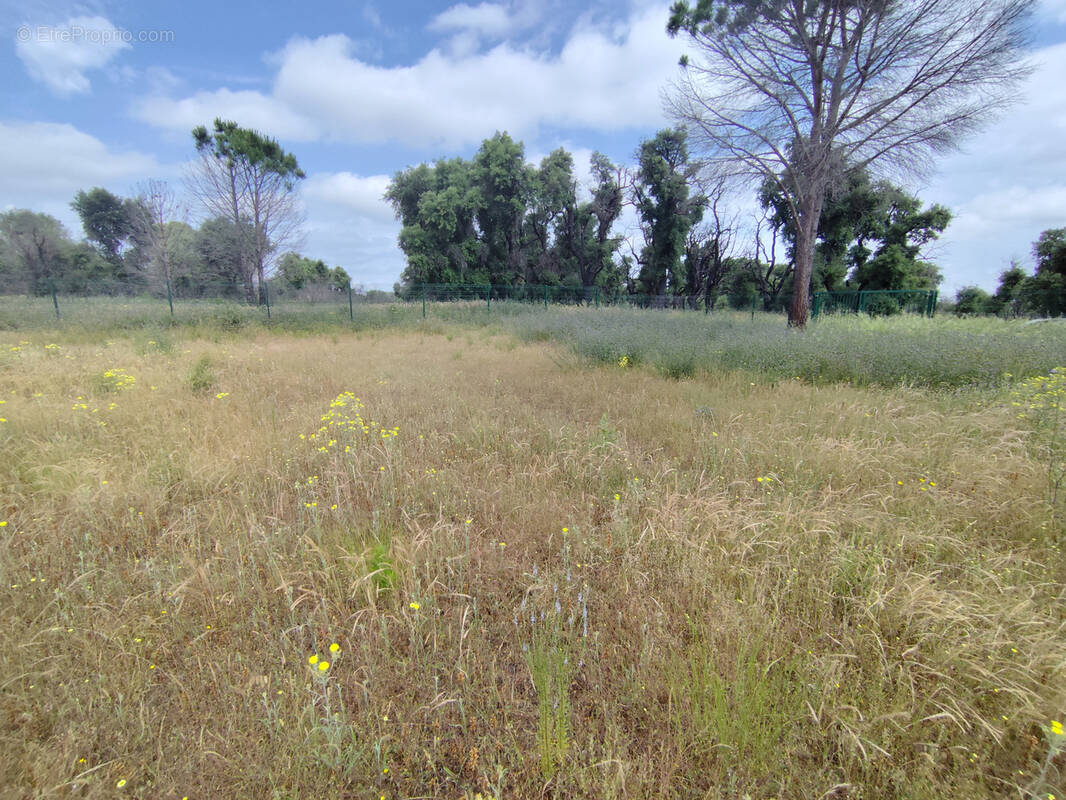 Terrain à ARGELES-SUR-MER