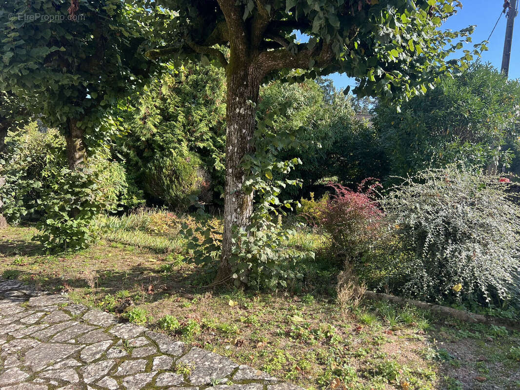 Photo 5 - Maison à CHAROLLES