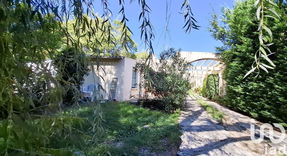 Photo 7 - Maison à TOULOUSE