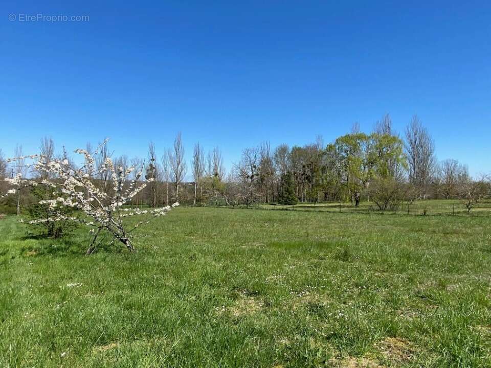 Terrain à SAINT-ILLIERS-LE-BOIS