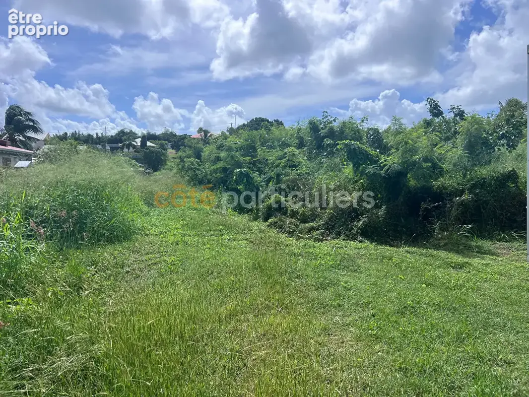 Terrain Sainte Anne 2826 m2 - photo 2