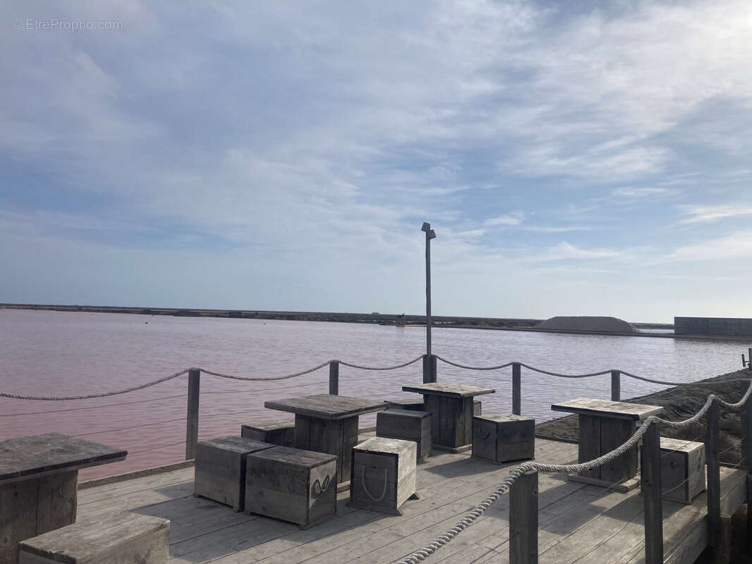 Gruissan, à 3kms des plages, maison de caractère rénovée avec 5 chambres, sur un parc de 2,5 hectares, avec pi - photo 42