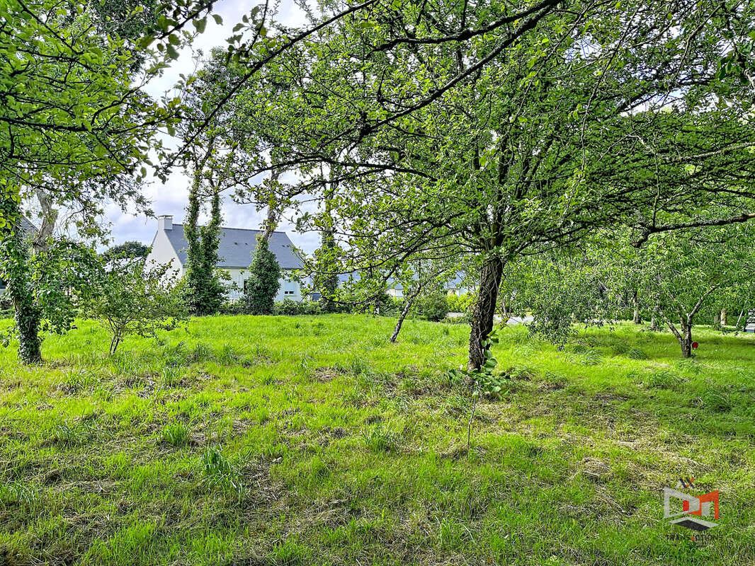 Terrain à CAVAN