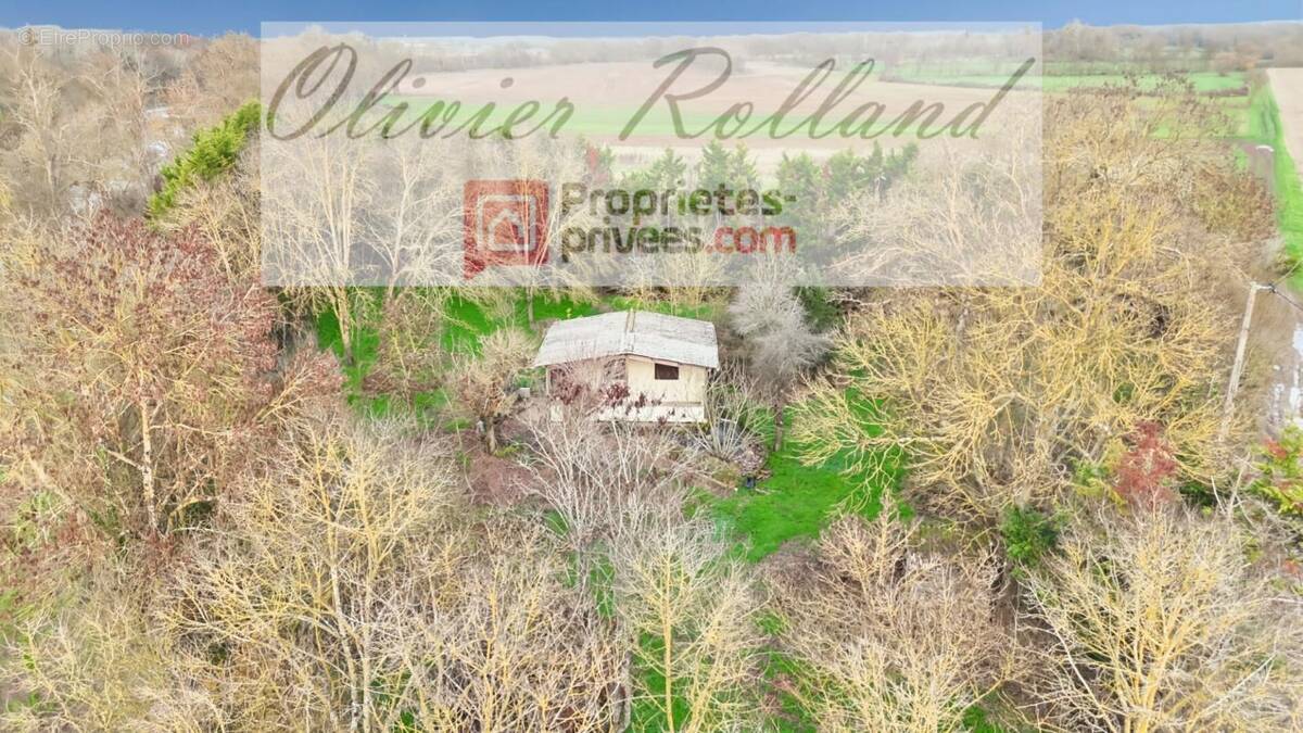 Maison à MONTREUIL-BELLAY