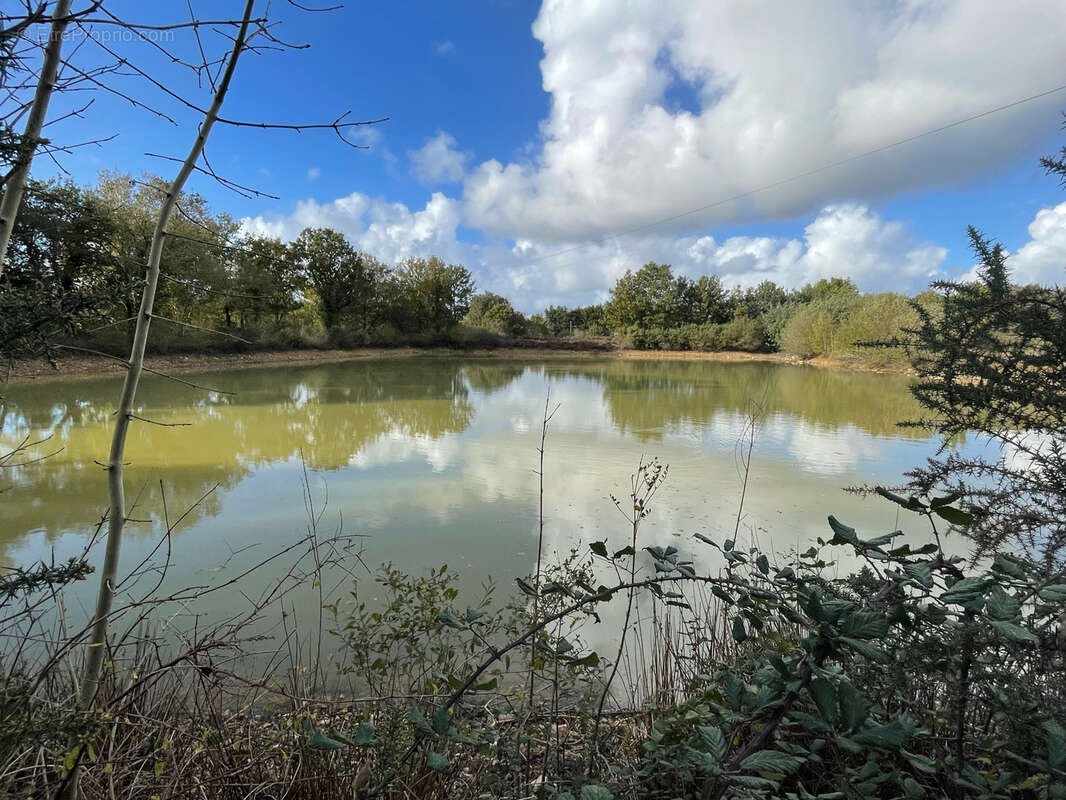 Terrain à TALMONT-SAINT-HILAIRE