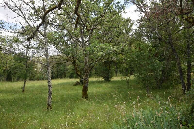 Maison en bois à vendre 3 pièces VERS (46) - photo 28