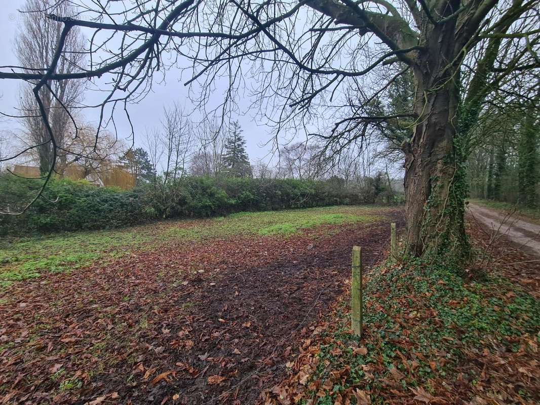 Terrain à WACQUINGHEN