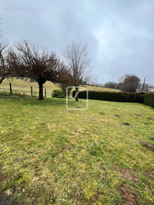 A vendre Maison 118 m2 avec Garage + dépendance sur terrain de 2593m2 - photo 25