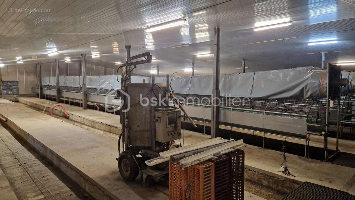 Appartement à MONLEZUN-D&#039;ARMAGNAC