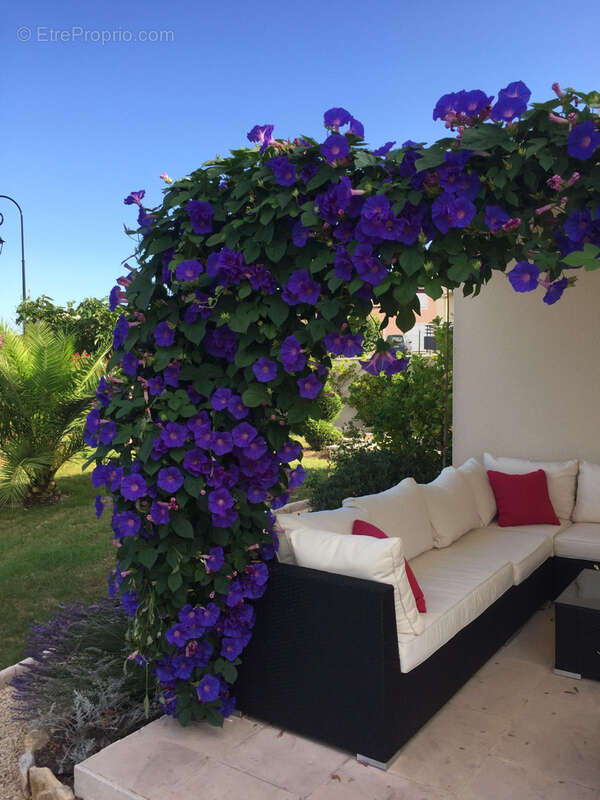 Maison à SAINT-MAXIMIN