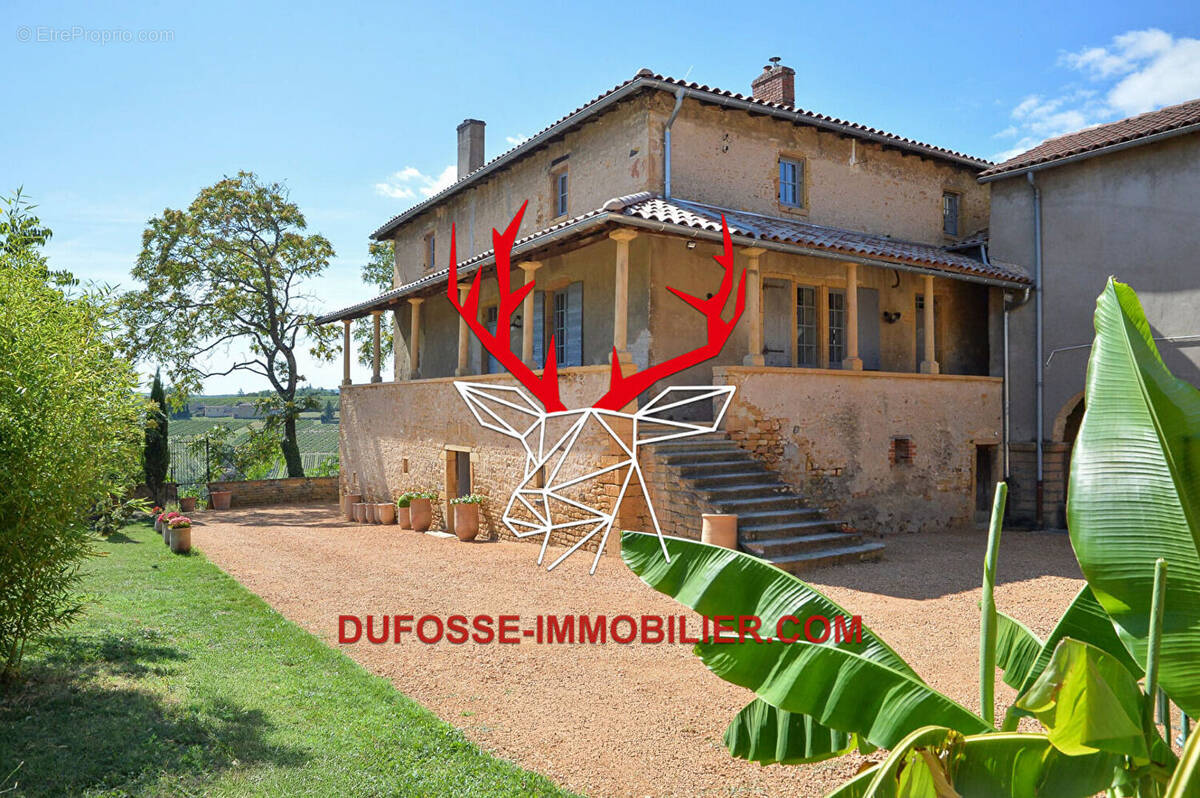 Maison à POUILLY-LE-MONIAL