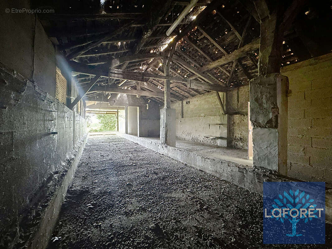 SORT EN CHALOSSE - Ferme et dépendance à réhabiliter - photo 8