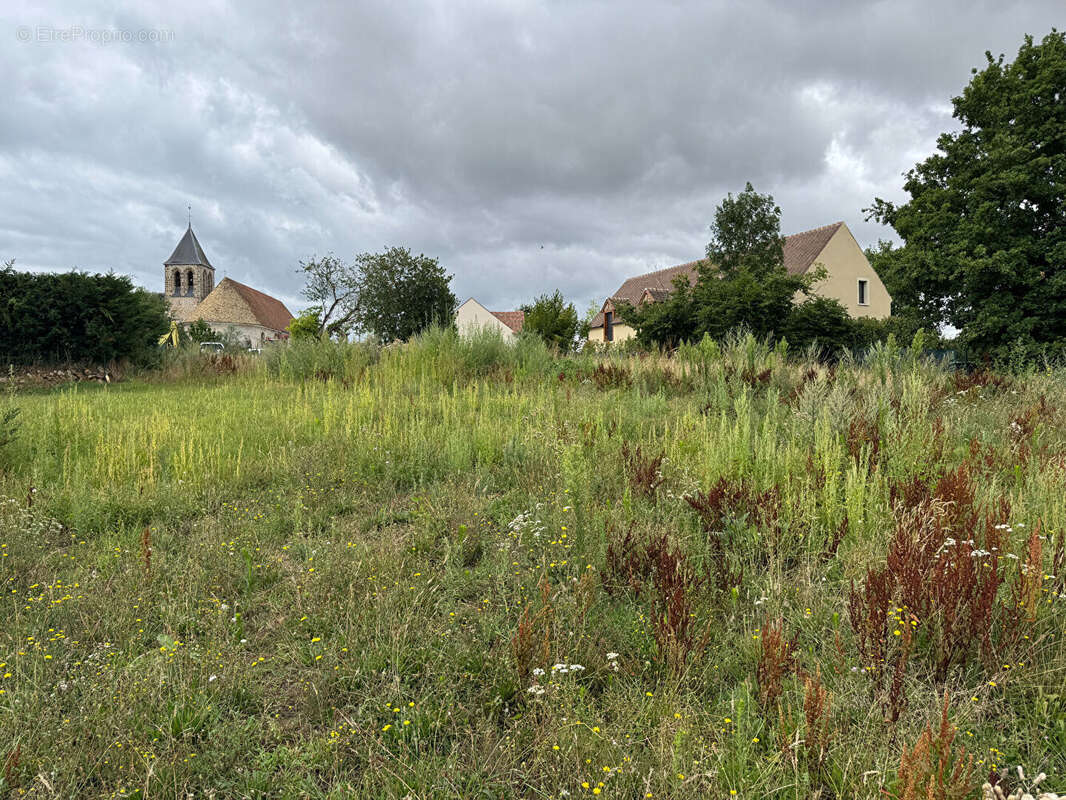 Terrain à BAZOCHES-SUR-GUYONNE