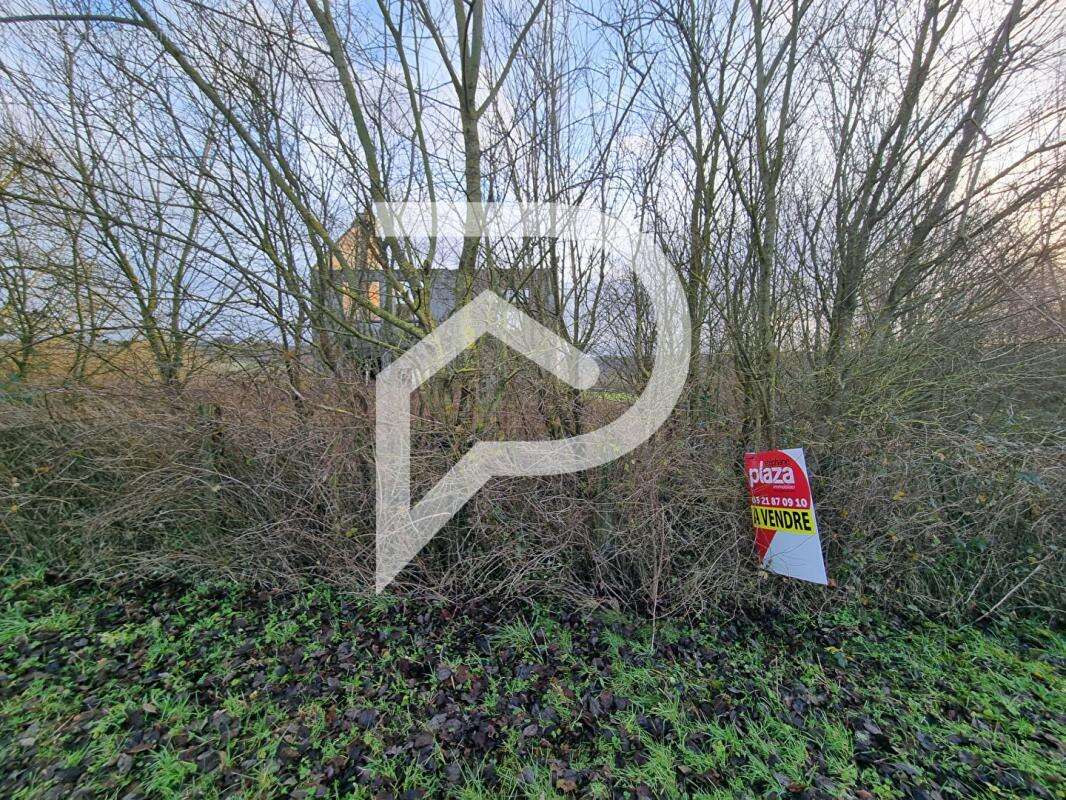 Terrain à LOTTINGHEN